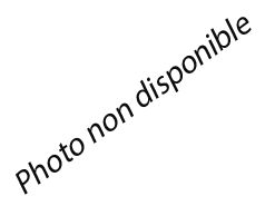 Ecran borne (Vigile/Gardiane)